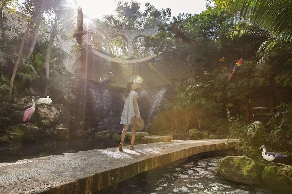 Hotel Xcaret Arte - All Parks All Fun Inclusive - Adults Only Xcaret Park
