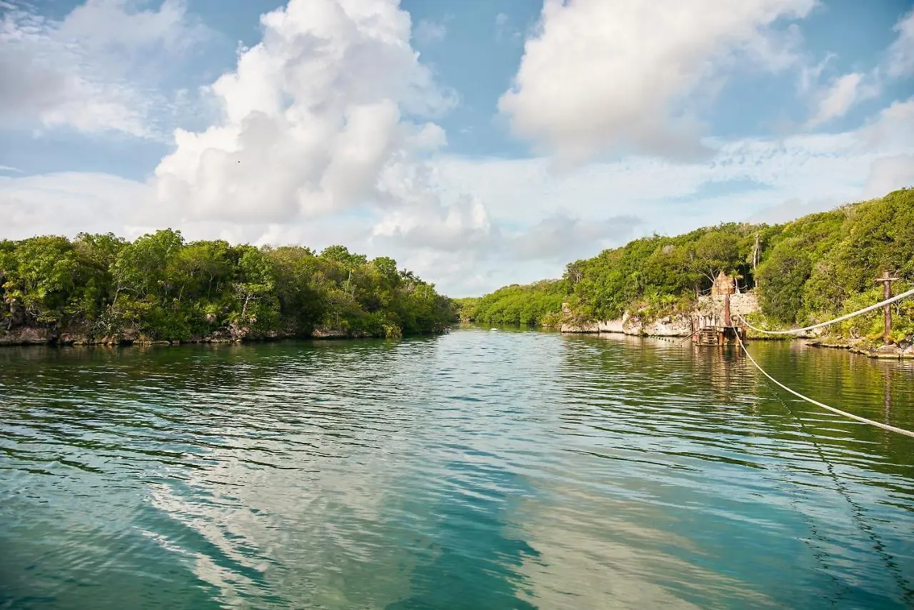Hotel Xcaret Arte - All Parks All Fun Inclusive - Adults Only Xcaret Park 5*,